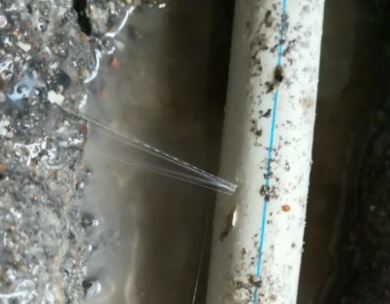 勃利测漏水哪家好