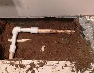 勃利测漏水哪家好