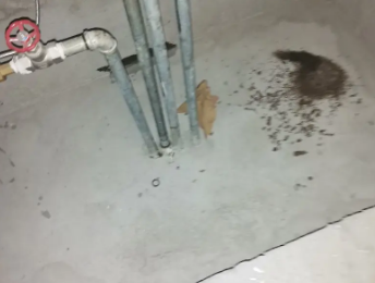 勃利卫生间测漏水价格明细