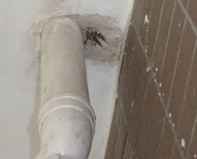 勃利漏水检测哪家好